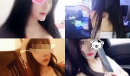 陈泽91直播名字,直播界的璀璨明星，揭秘他的直播魅力