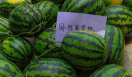 大学爆料吃瓜开眼界,吃瓜群众开眼界，校园风云录大揭秘